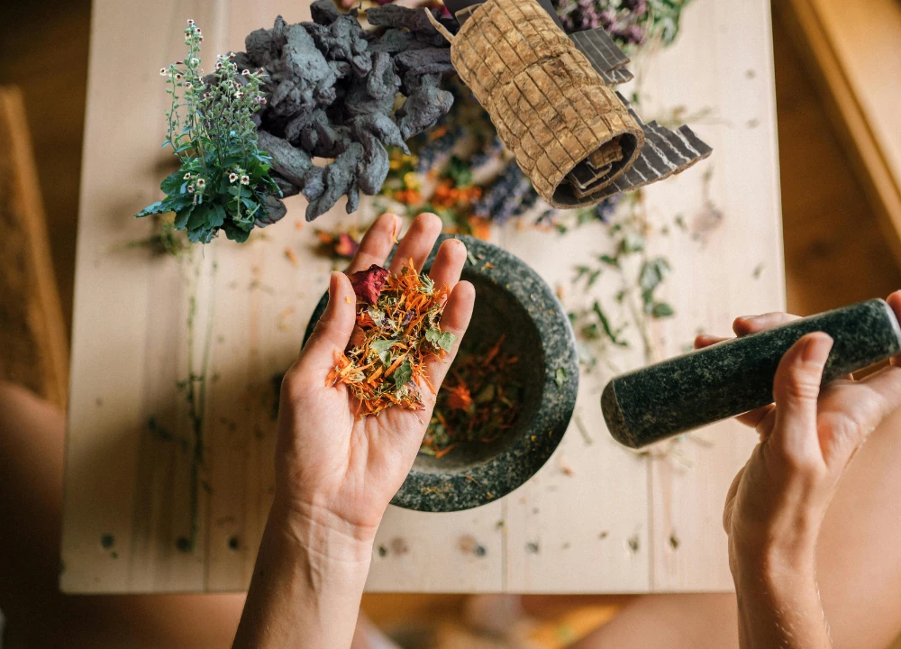 thành phần bài thuốc